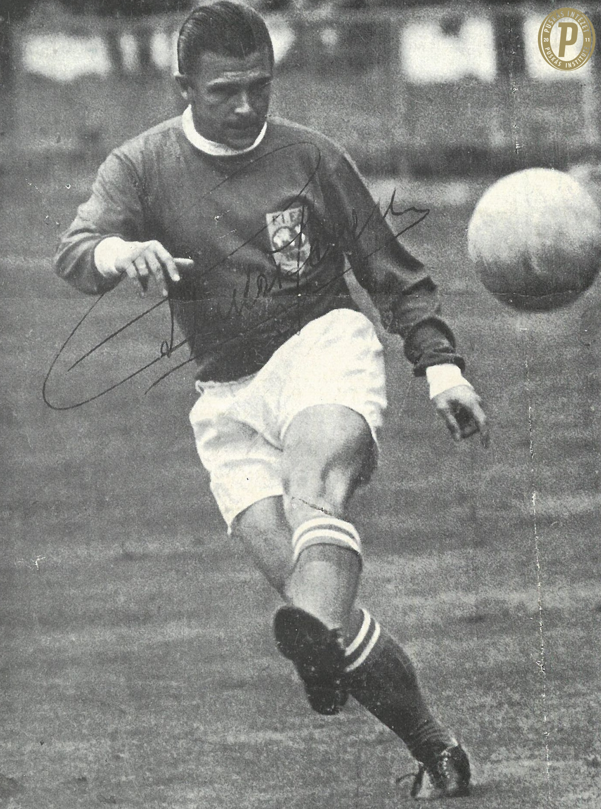 Az eltiltástól a világválogatottig