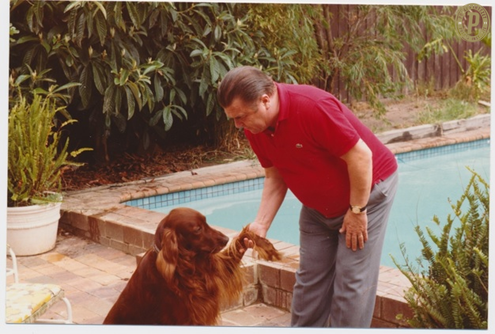 Állatok Világnapja