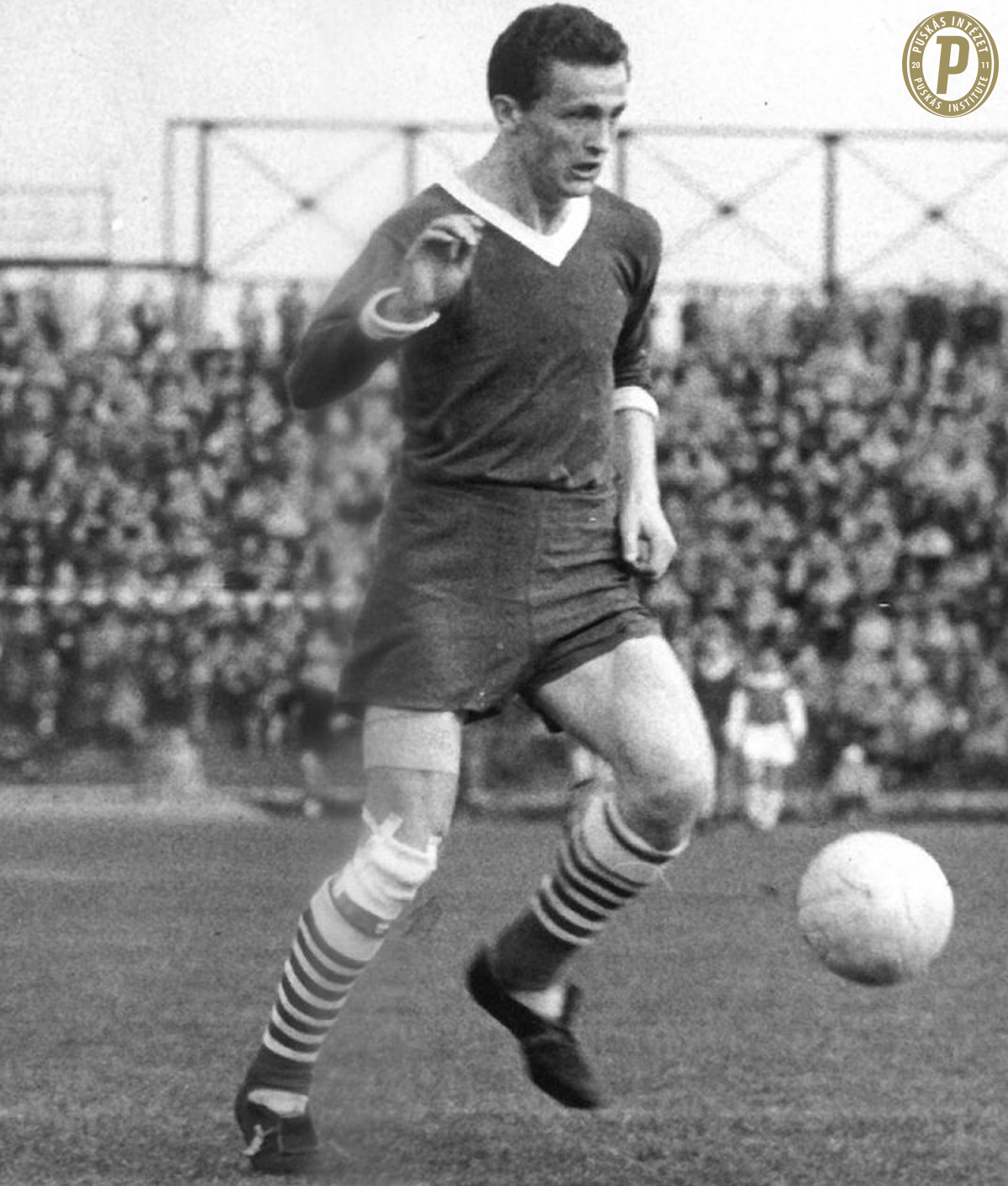 A Császár zöld-fehérben