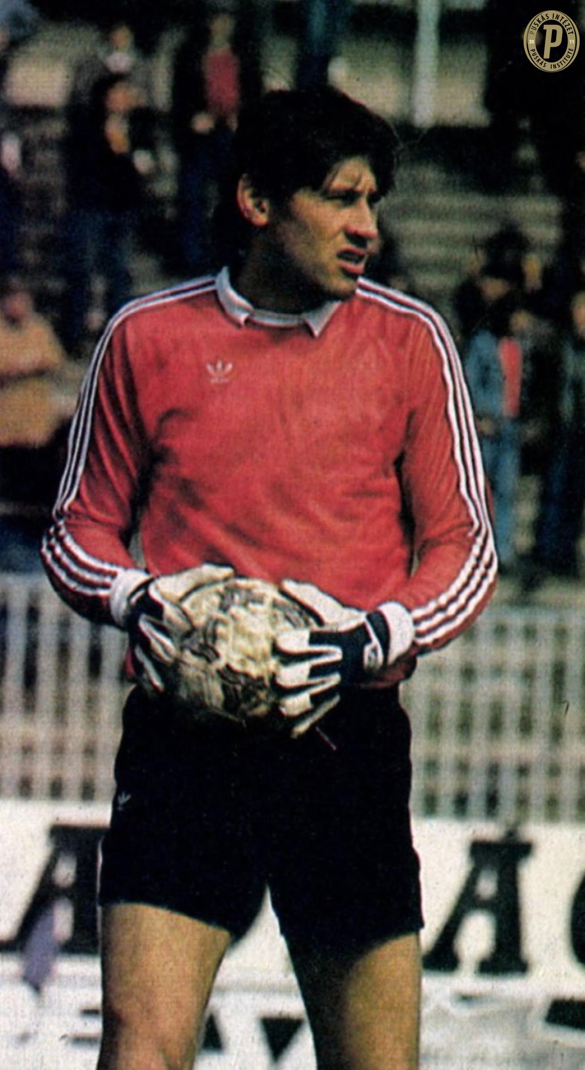 Szendrei József: 70!