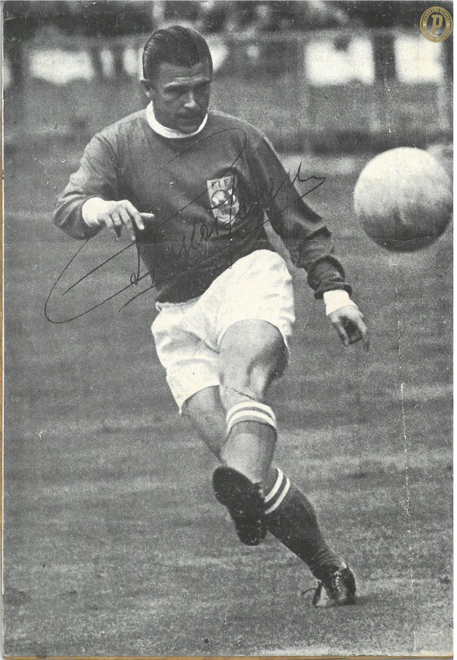 Az eltiltástól a világválogatottig