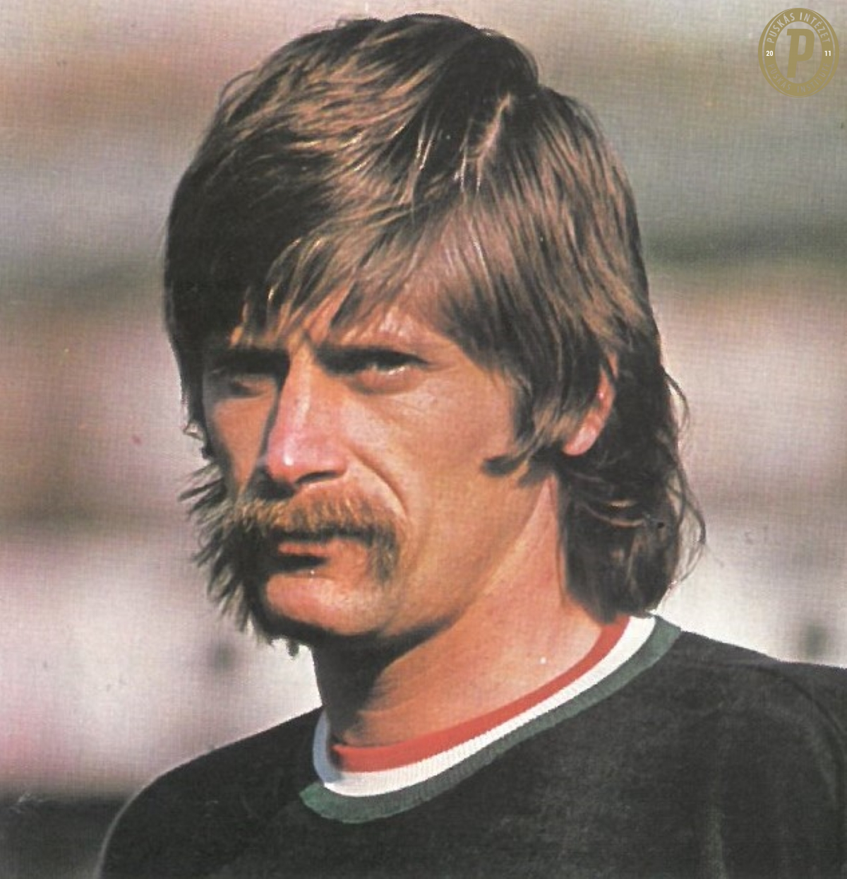 Budapest oroszlánja