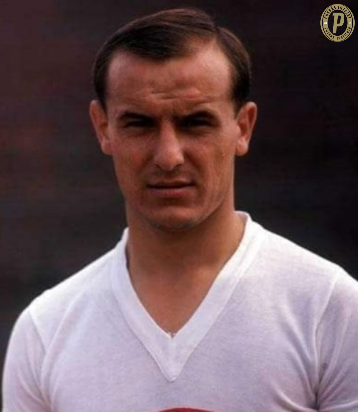 Vissza a gyökerekhez