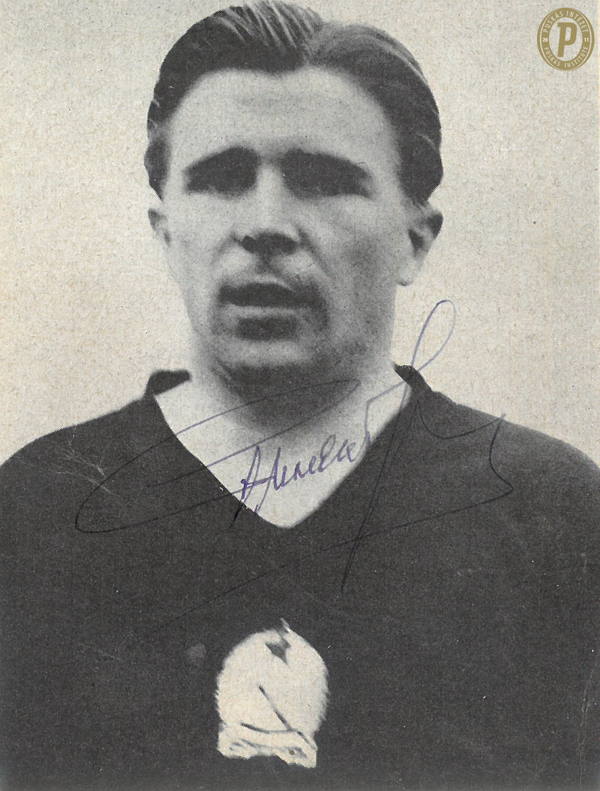 Magyarország legjobb játékosa